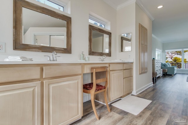 bathroom featuring ornamental molding, wood-type flooring, and vanity