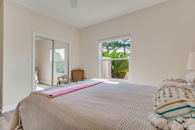 bedroom with ceiling fan, a closet, and multiple windows