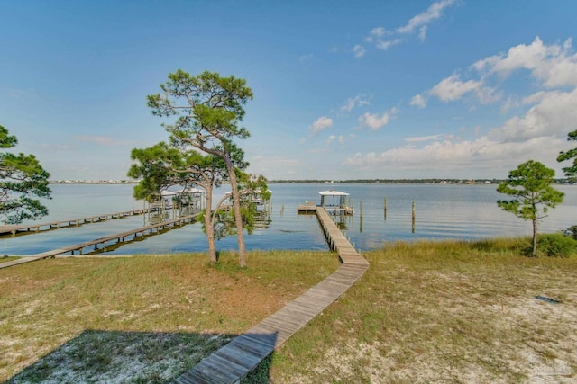 dock area with a water view