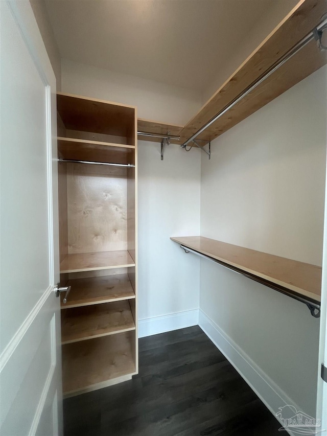 walk in closet featuring dark wood-style floors