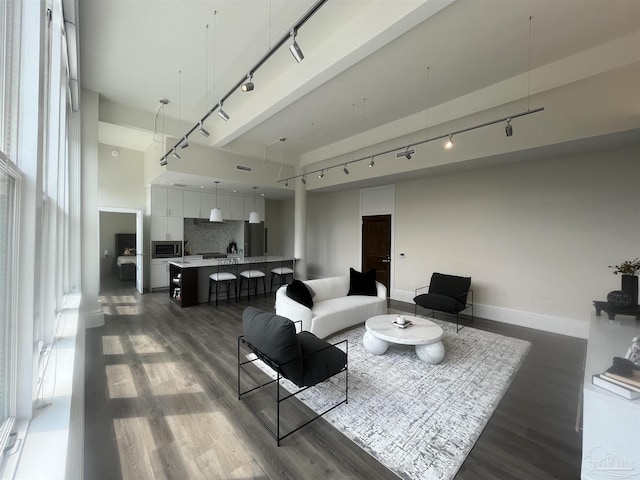 living area featuring a high ceiling, rail lighting, baseboards, and wood finished floors