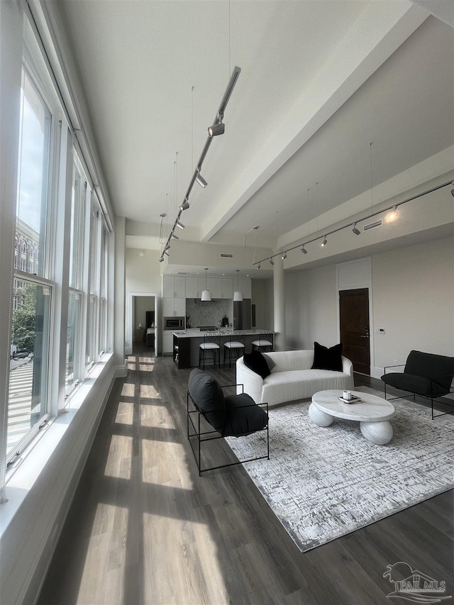 living room with track lighting and wood finished floors