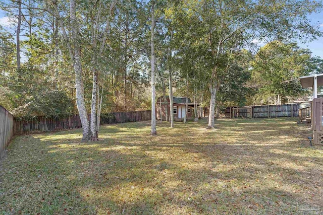 view of yard featuring a storage shed