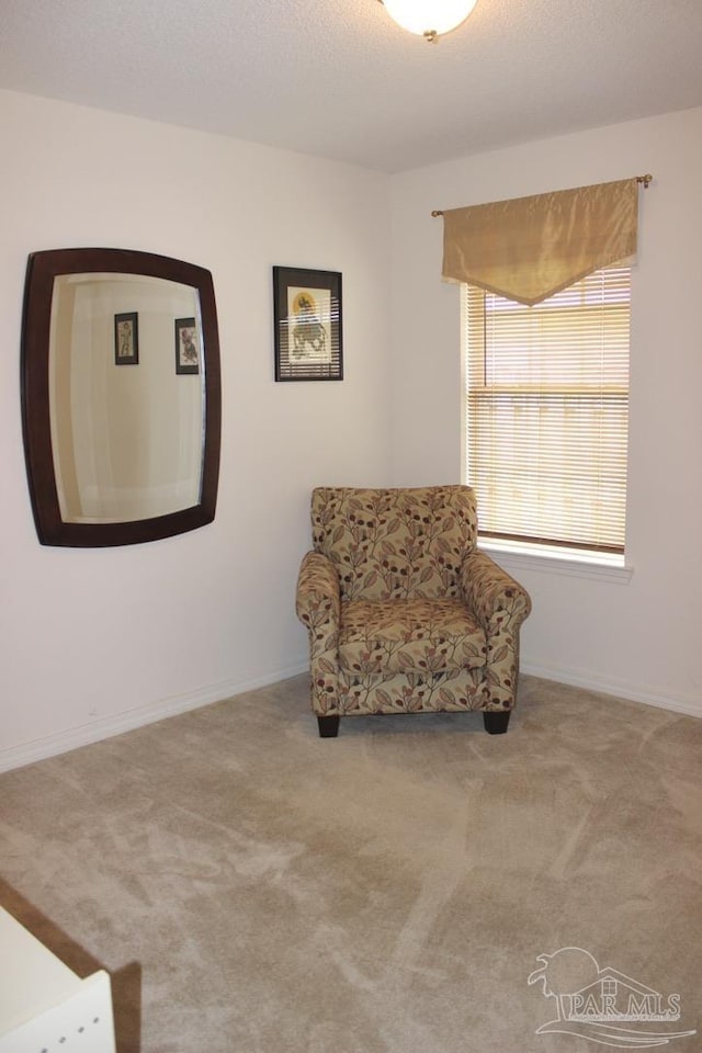 sitting room featuring baseboards, carpet flooring, and a textured ceiling