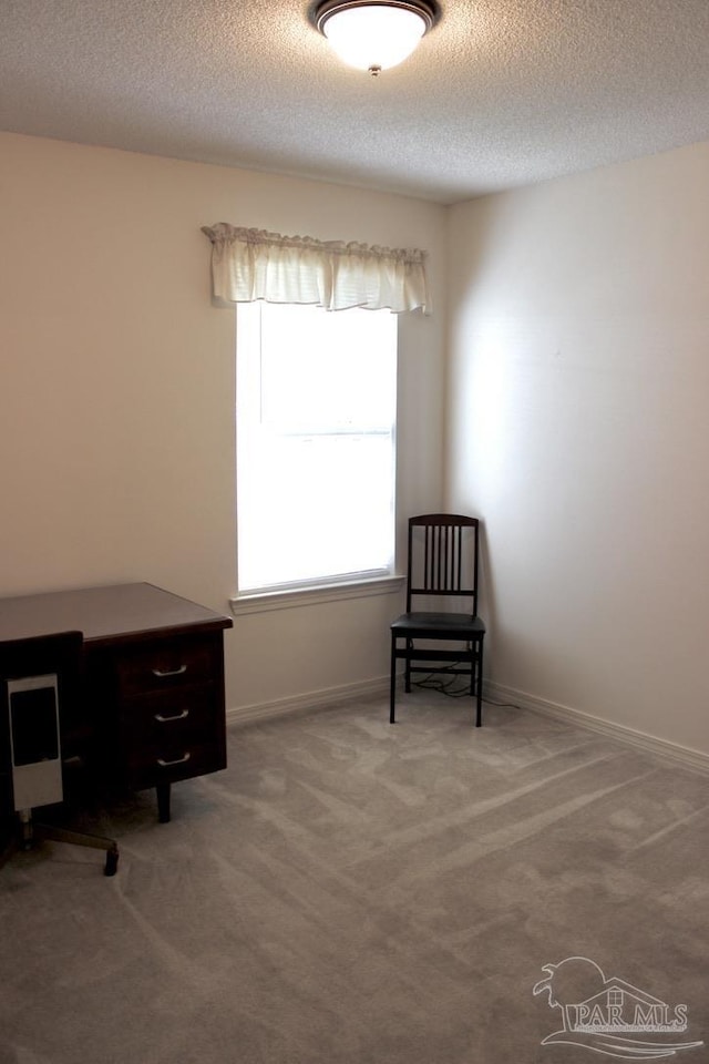 sitting room with a textured ceiling, carpet flooring, and baseboards