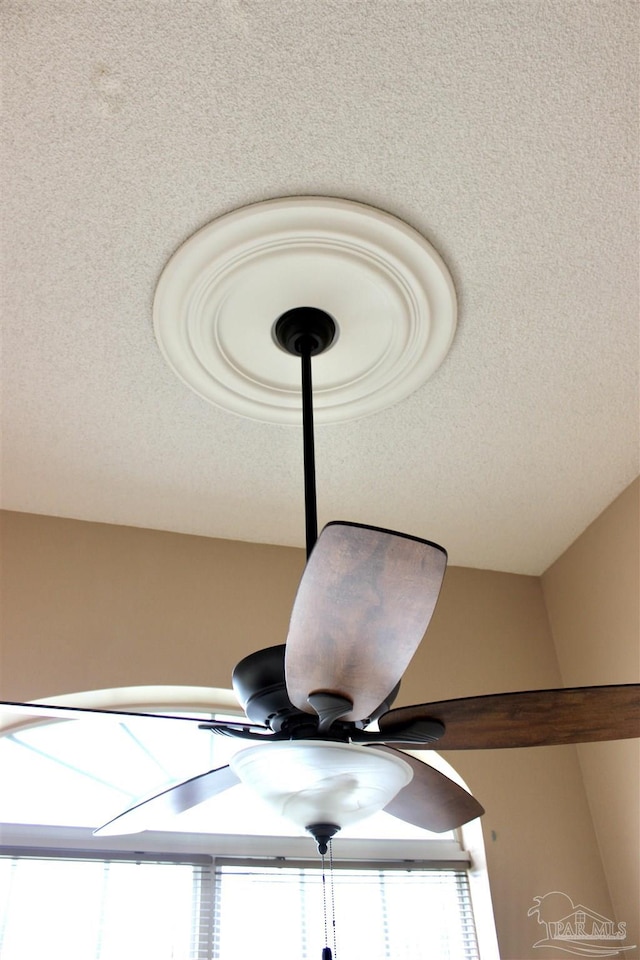 details with a textured ceiling