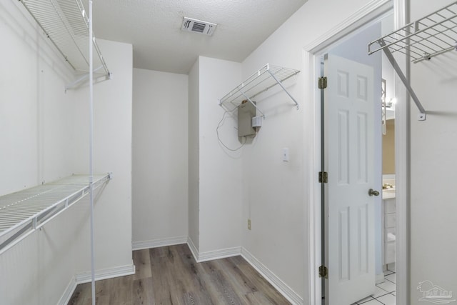 walk in closet with light wood-type flooring