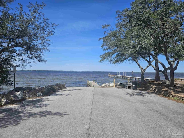 water view featuring a dock