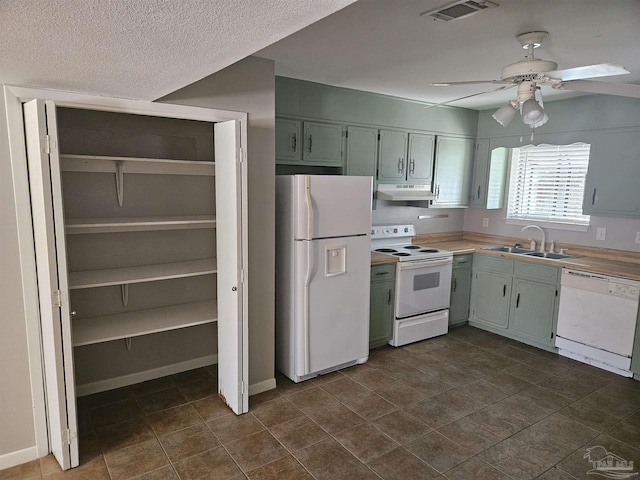 kitchen with visible vents, a sink, under cabinet range hood, white appliances, and ceiling fan