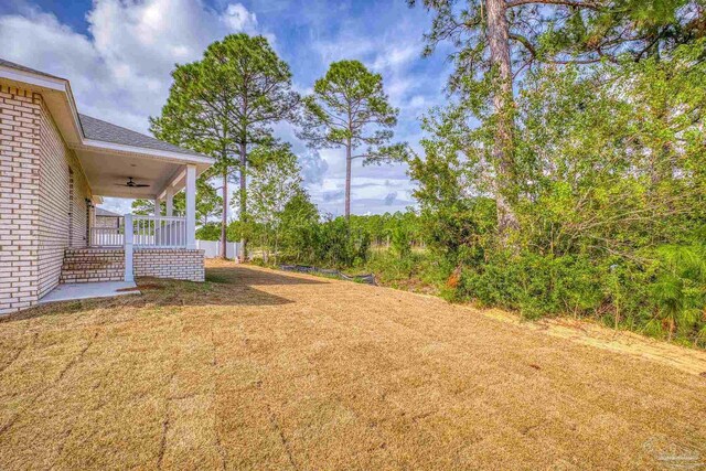 view of yard with a patio and ceiling fan