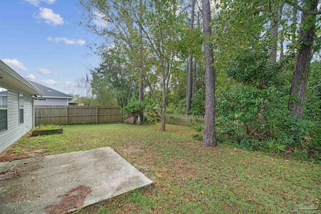 view of yard with a patio