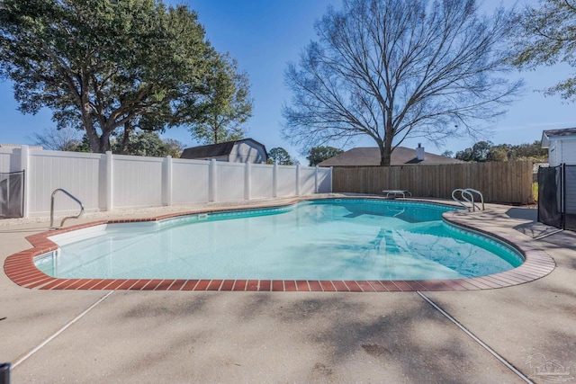 view of pool with a diving board and a patio