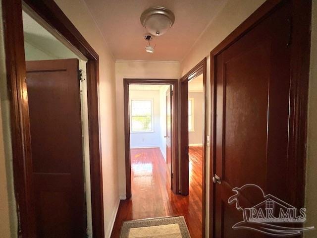 hallway featuring wood-type flooring