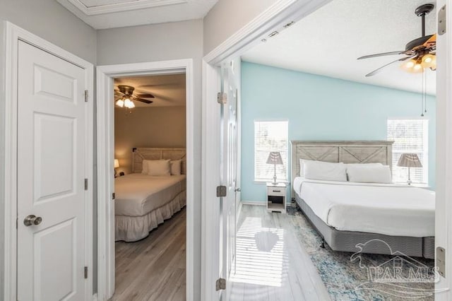 bedroom with multiple windows, lofted ceiling, ceiling fan, and light wood-type flooring