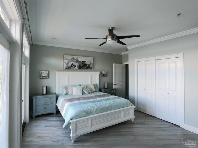 bedroom with ceiling fan, a closet, crown molding, and hardwood / wood-style flooring