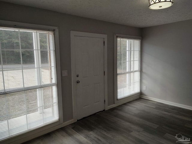 entrance foyer featuring plenty of natural light, dark hardwood / wood-style floors, and a textured ceiling