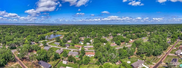 4224 Seaport Rd, Pace, FL 32571 - bird's eye view of a heavily wooded area and a large body of water