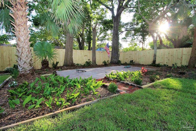 view of yard with a patio