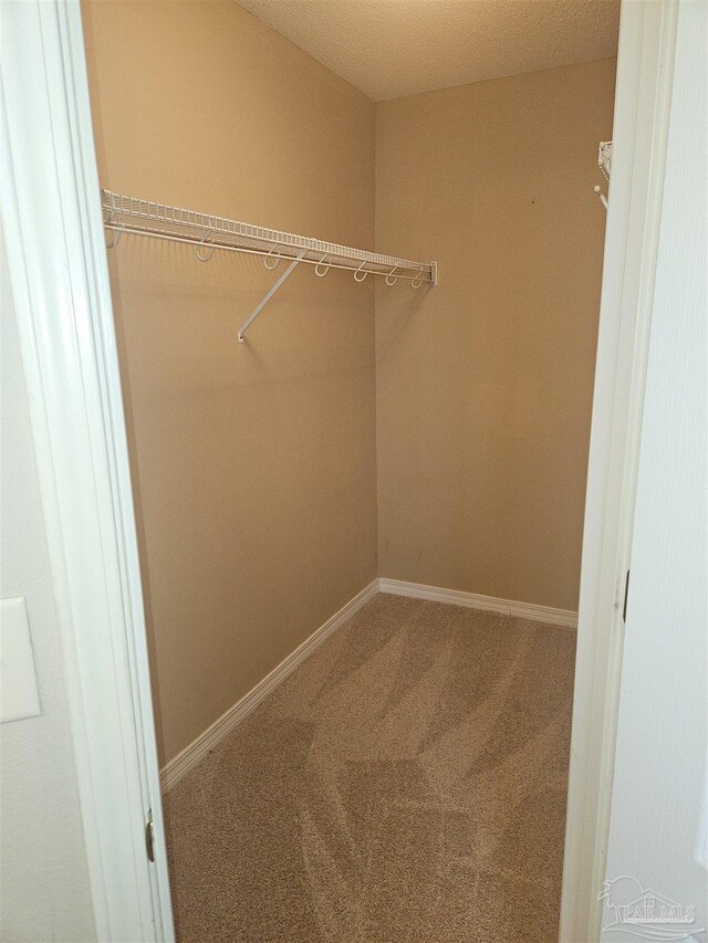 walk in closet featuring carpet flooring