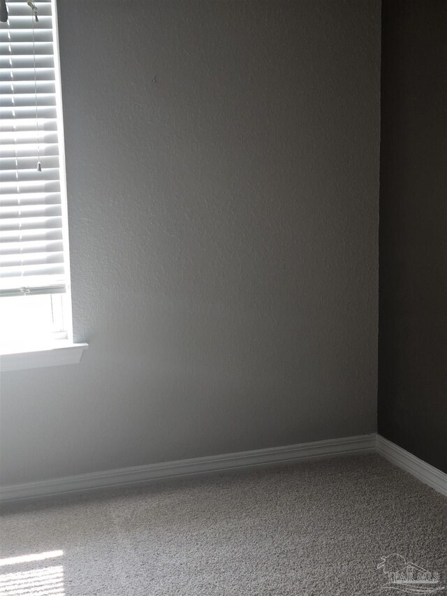 empty room featuring carpet floors