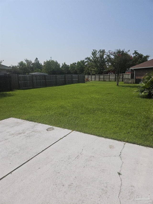 view of yard featuring a patio