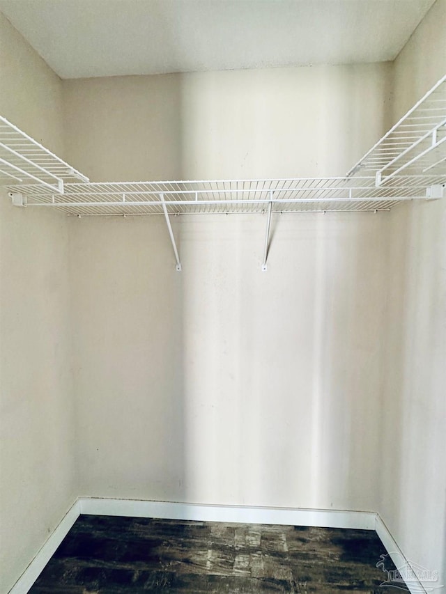 spacious closet featuring hardwood / wood-style floors