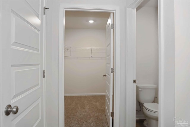 bathroom featuring toilet