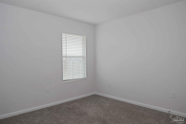 spare room with carpet