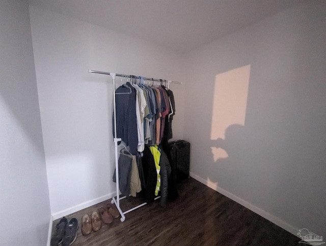 spacious closet featuring dark wood finished floors