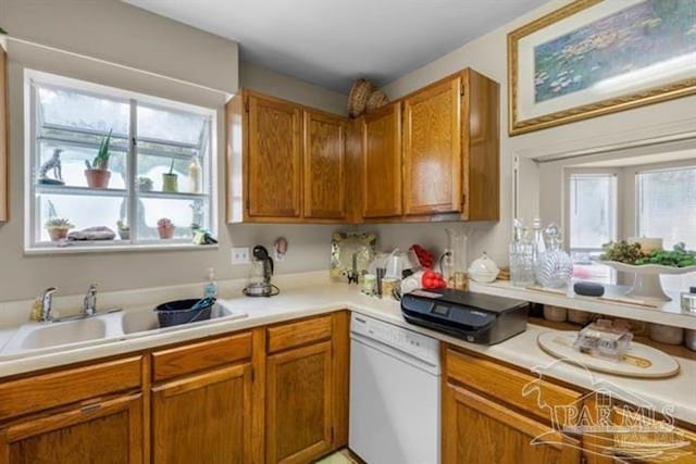 kitchen featuring dishwasher, a healthy amount of sunlight, and sink