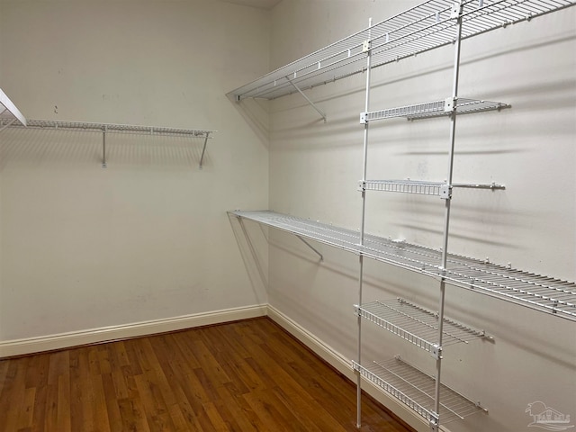 walk in closet with wood finished floors