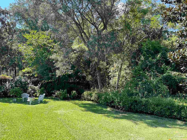 view of yard featuring a wooded view