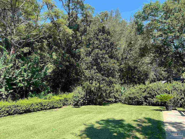 view of yard with a view of trees