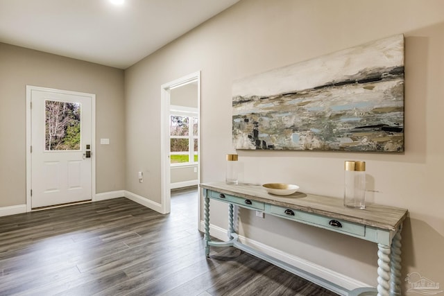 entryway featuring dark hardwood / wood-style flooring