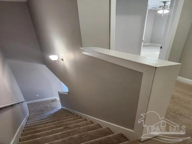 stairway featuring ceiling fan and carpet