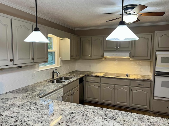 kitchen featuring sink, white appliances, a textured ceiling, and ornamental molding