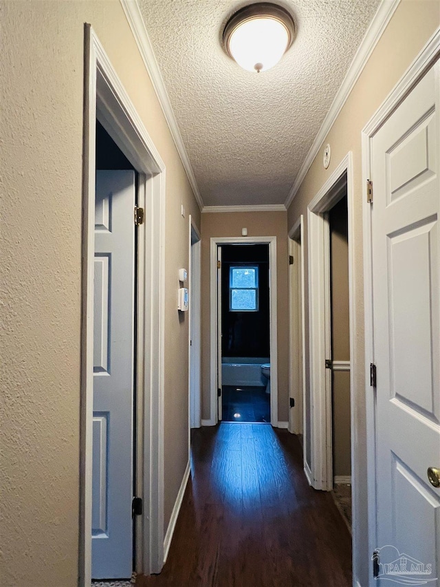 hallway with a textured ceiling, dark wood-type flooring, and crown molding