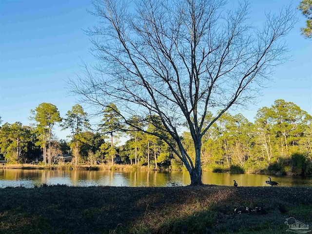 water view