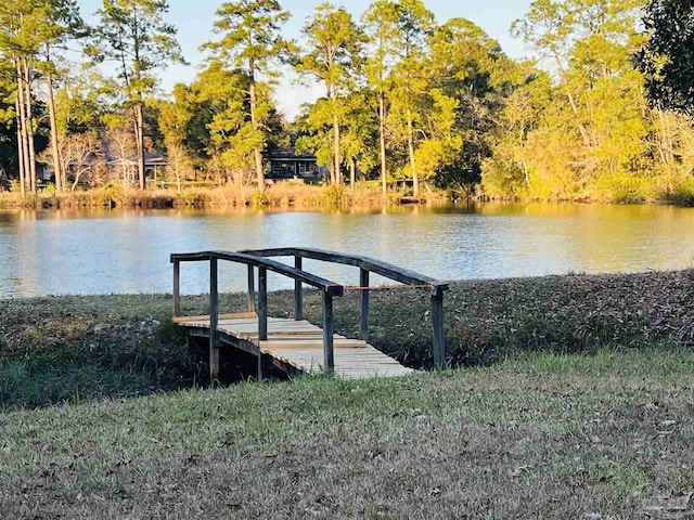 dock area with a water view