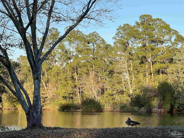 view of water feature