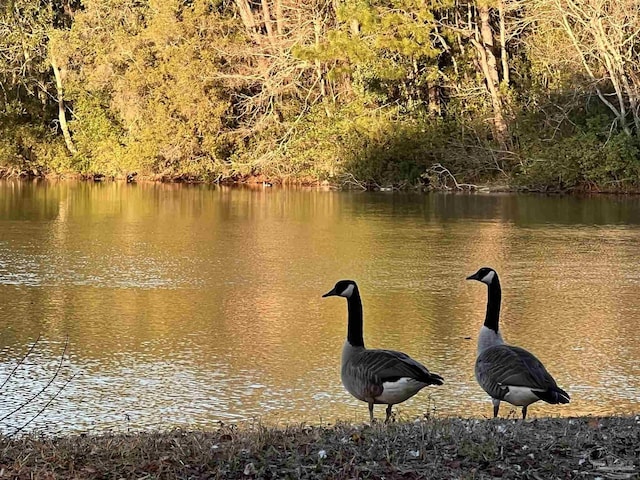 property view of water