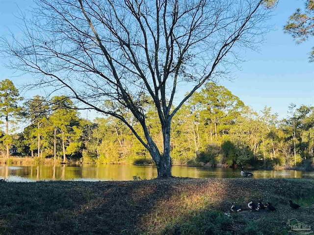 view of yard featuring a water view