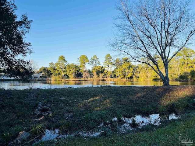 view of yard with a water view