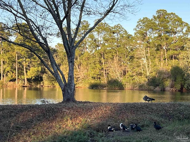 water view