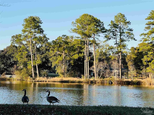 property view of water