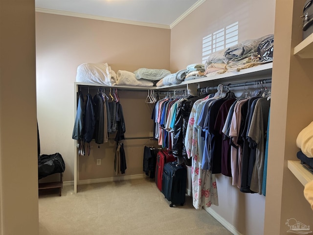 spacious closet with light carpet