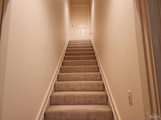 stairway with carpet floors