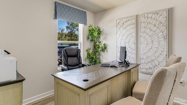 home office featuring light hardwood / wood-style flooring