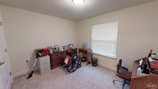 home office with carpet, baseboards, and a textured ceiling