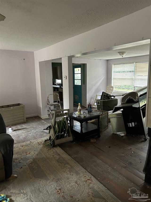 living room with wood-type flooring and a healthy amount of sunlight